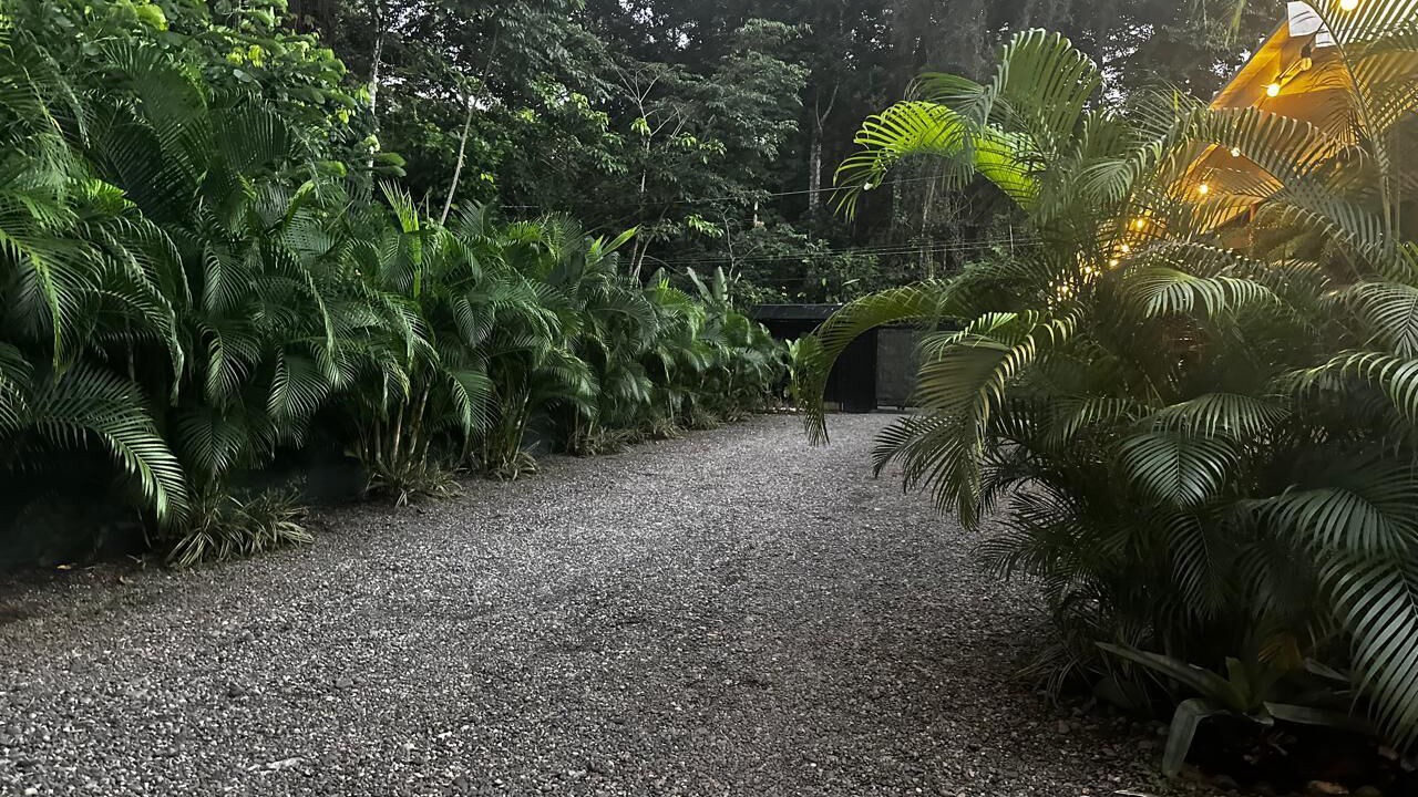 Photo of Outdoor in Cocles