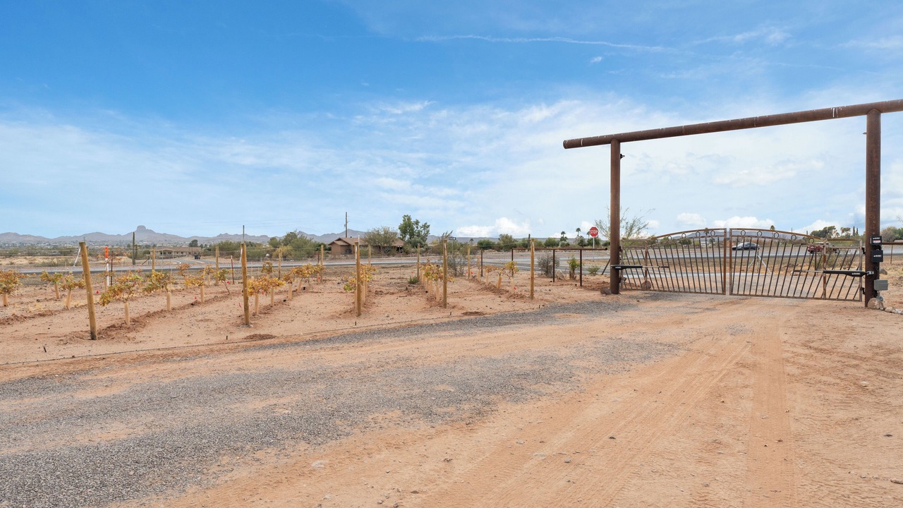 Photo of Others in Wickenburg