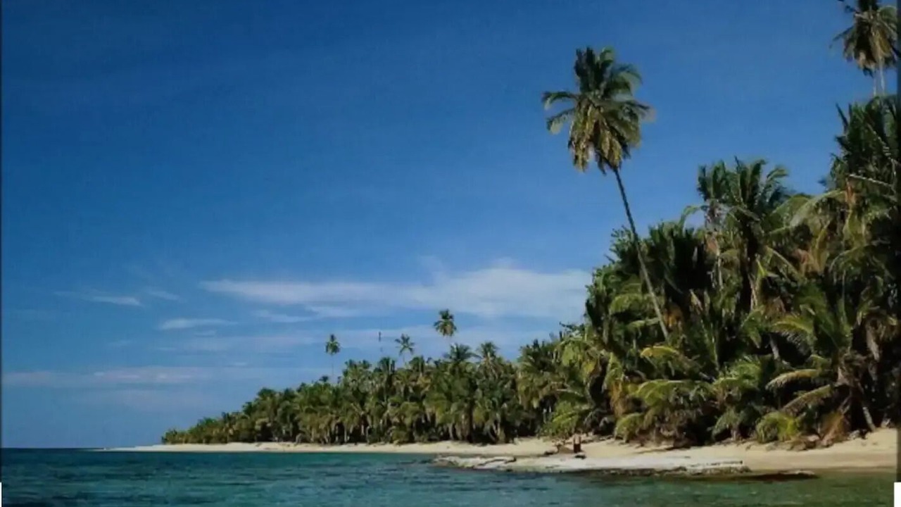 Photo of Others in Puerto Viejo de Talamanca