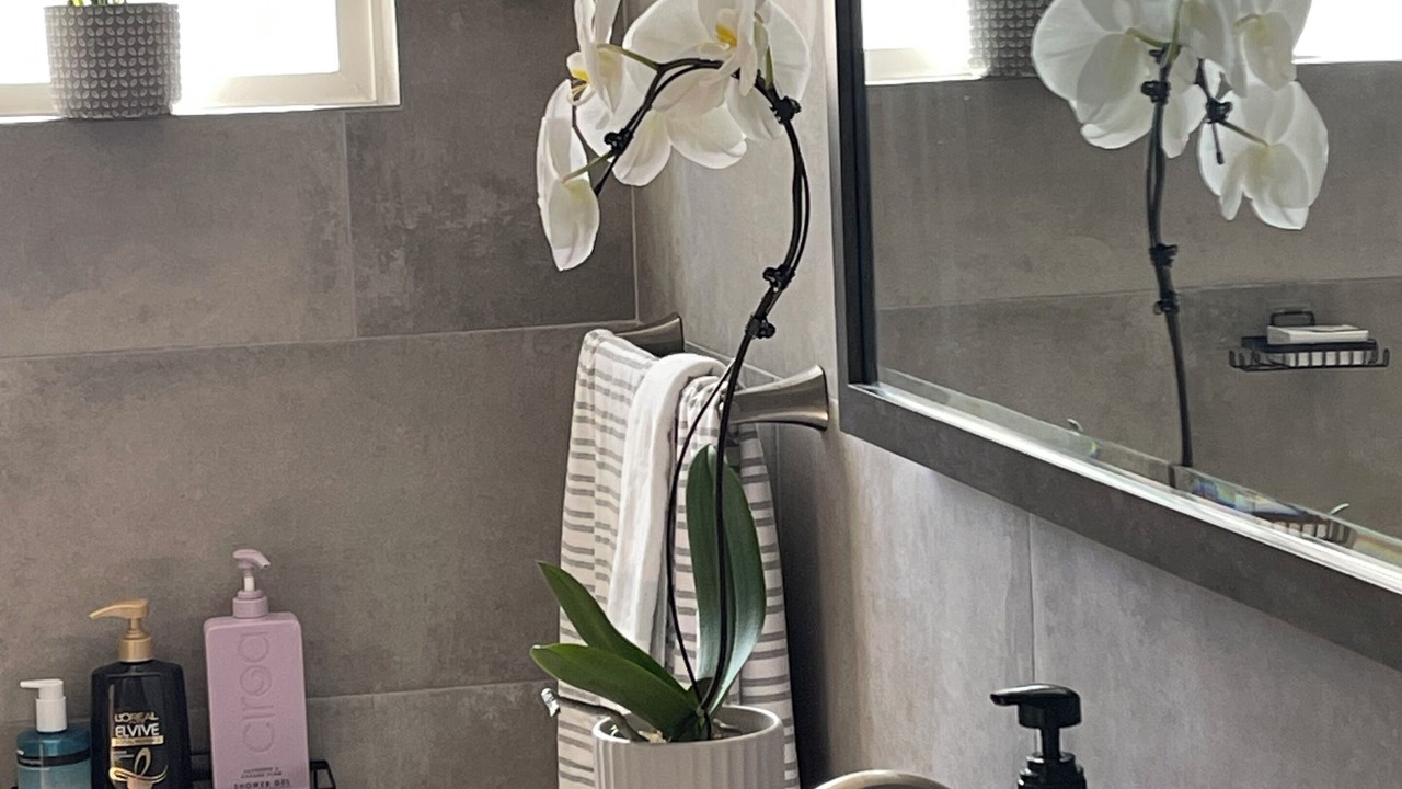 Photo of Bathroom in Lawndale