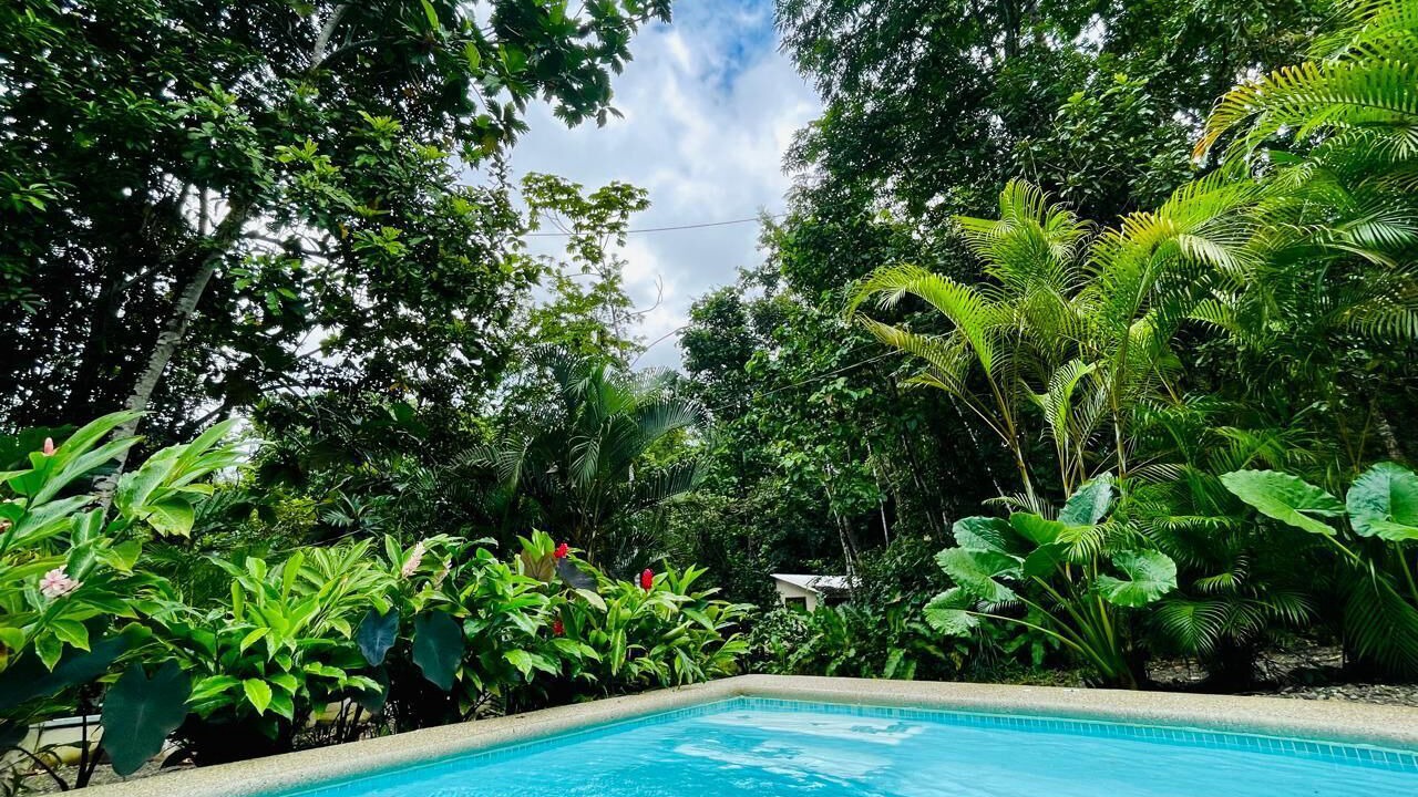 Photo of Outdoor in Cocles