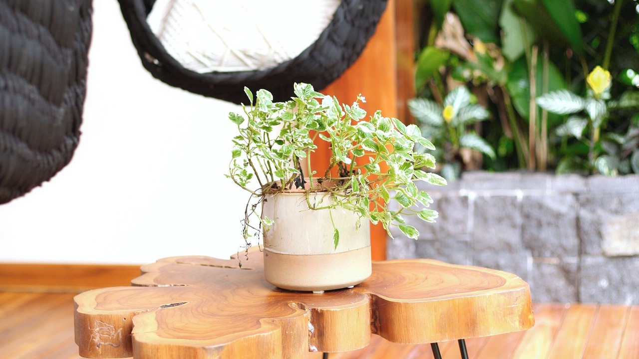 Photo of Outdoor in Punta Uva