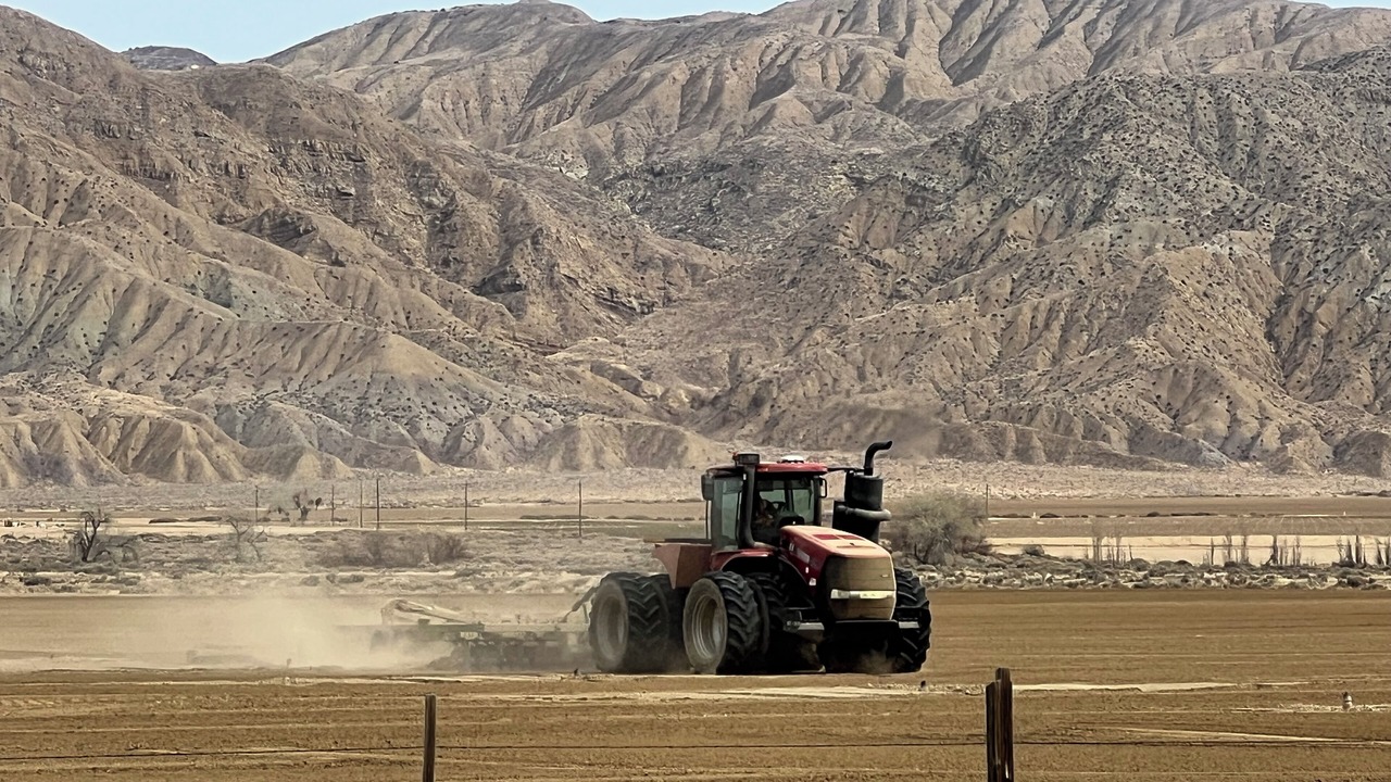 Photo of Others in New Cuyama