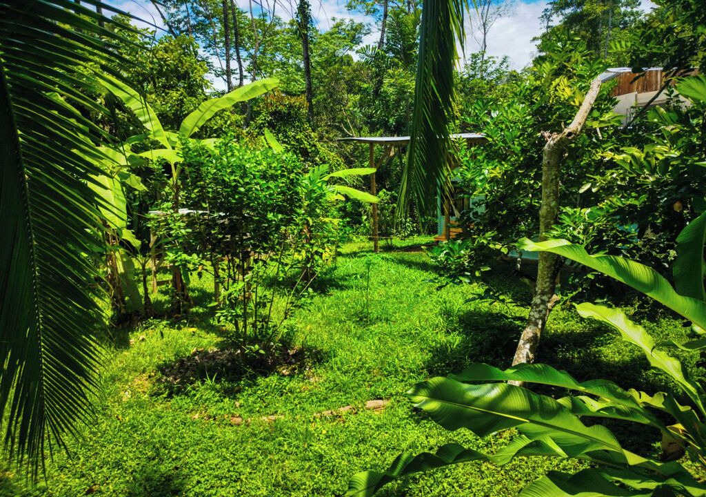 Photo of Outdoor in Cocles