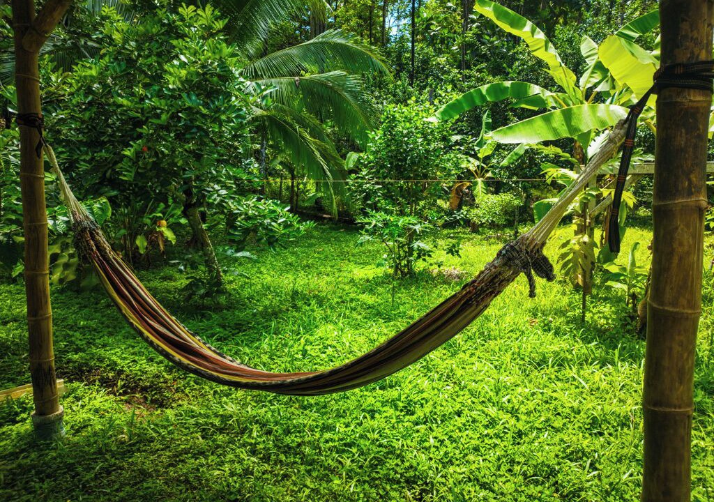 Photo of Outdoor in Cocles