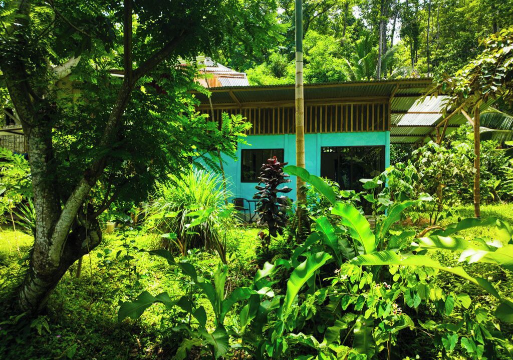 Photo of Outdoor in Cocles