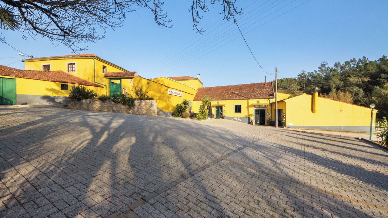 Photo of Outdoor in Coimbra