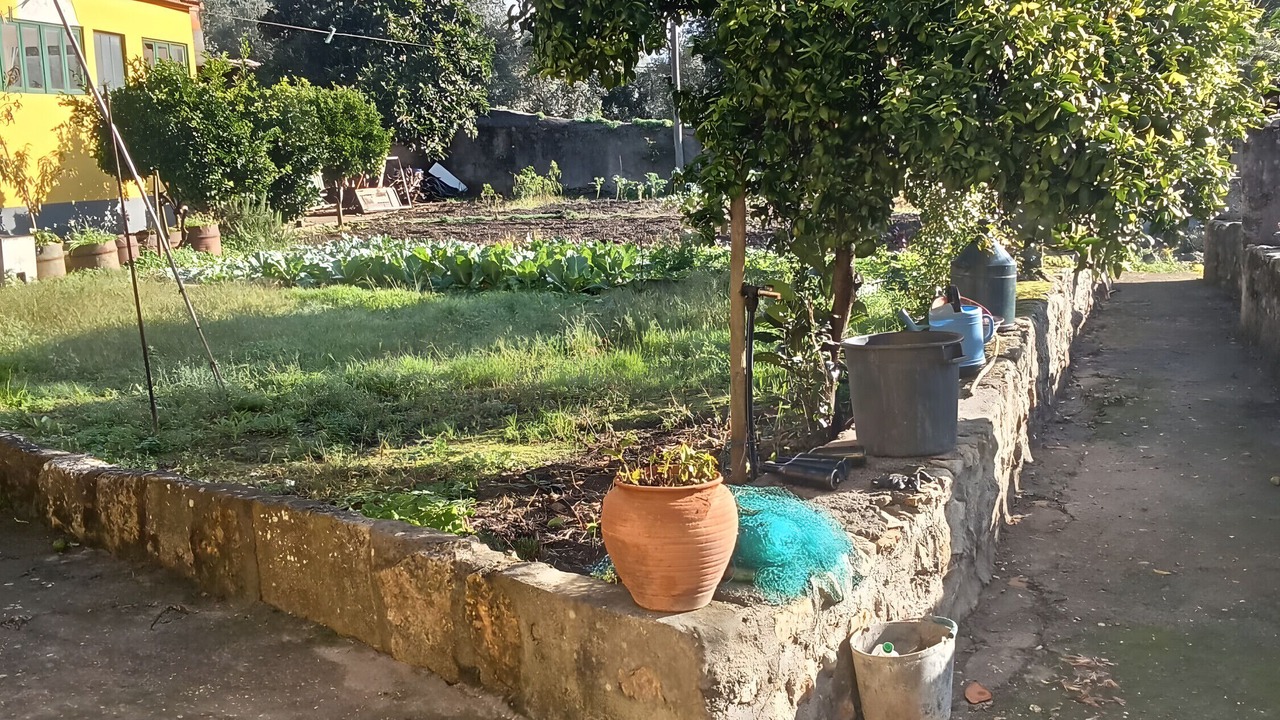 Photo of Outdoor in Coimbra
