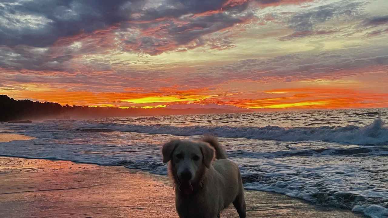 Photo of Others in Cahuita