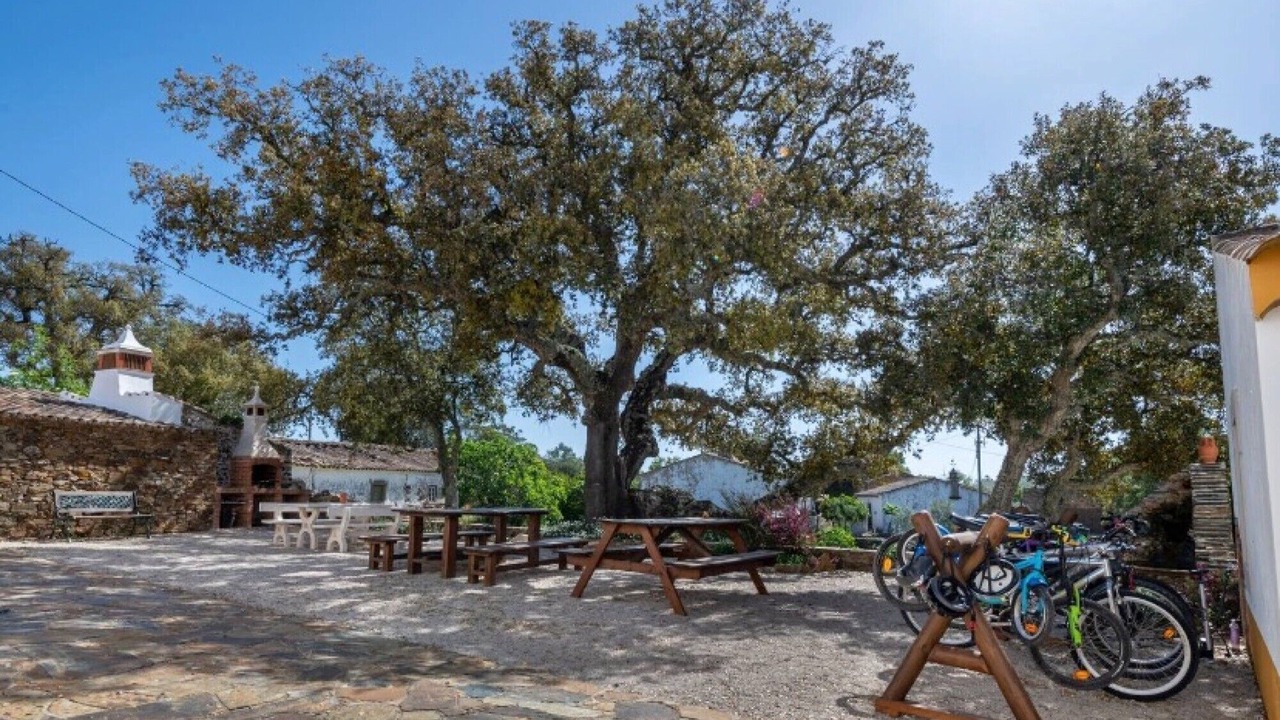 Photo of Outdoor in Loule