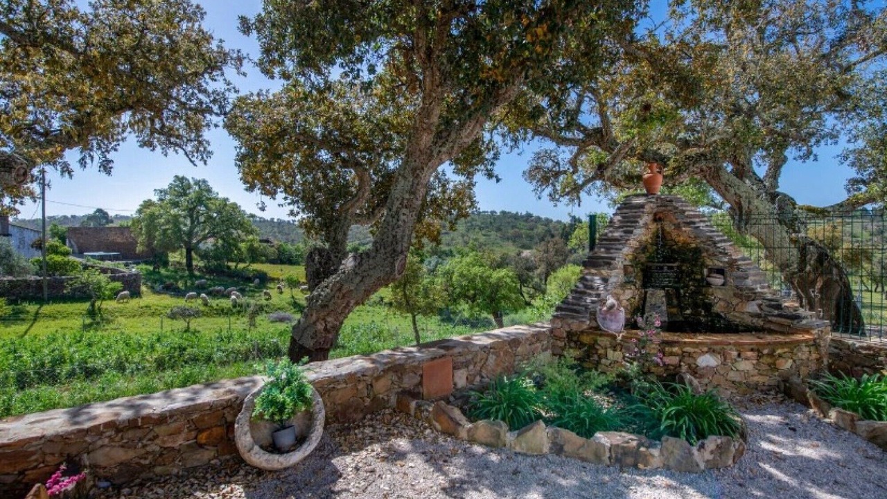 Photo of Outdoor in Loule