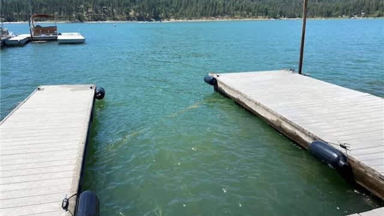 Photo of Others in Bass Lake