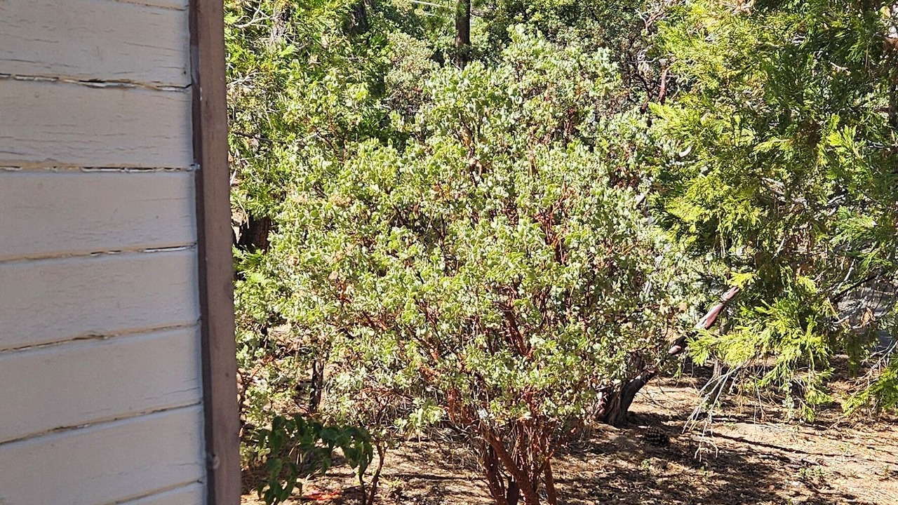 Photo of Outdoor in Mountain Center
