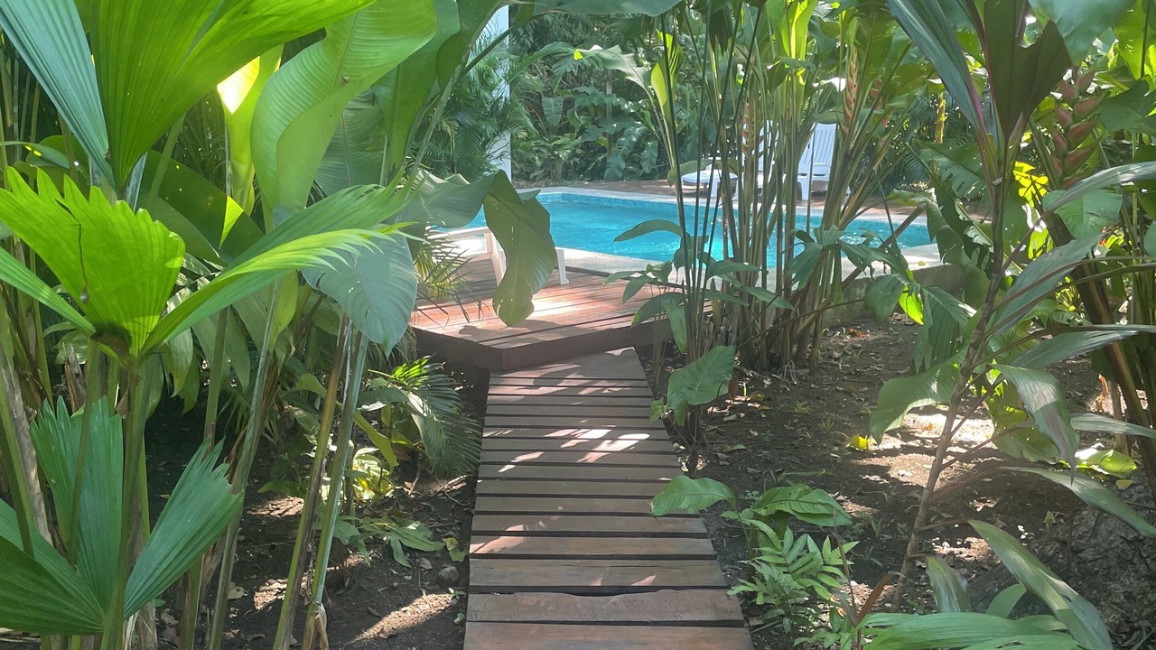 Photo of Outdoor in Puerto Viejo de Talamanca