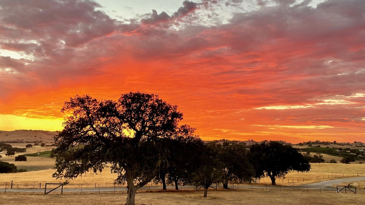 Photo of Others in Paso Robles
