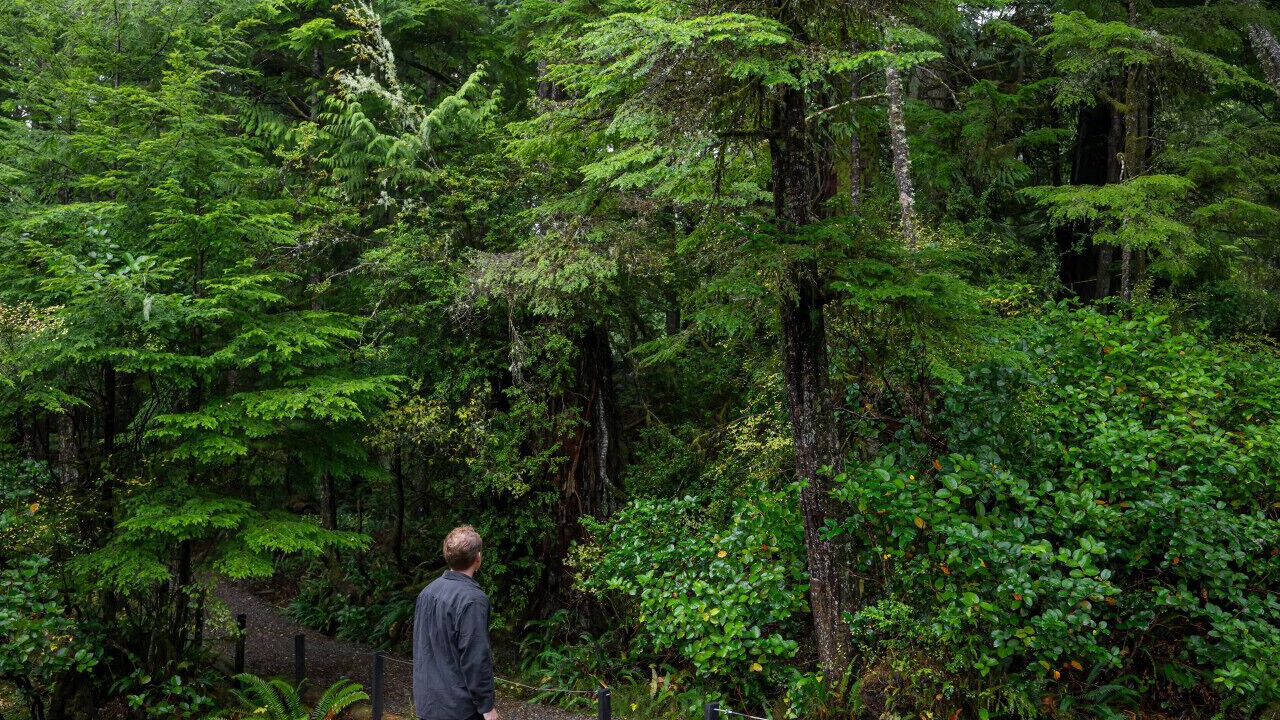 Photo of Others in Ucluelet