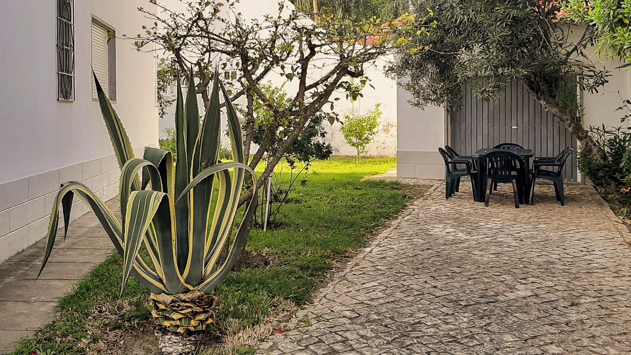 Photo of Outdoor in Pica Galo