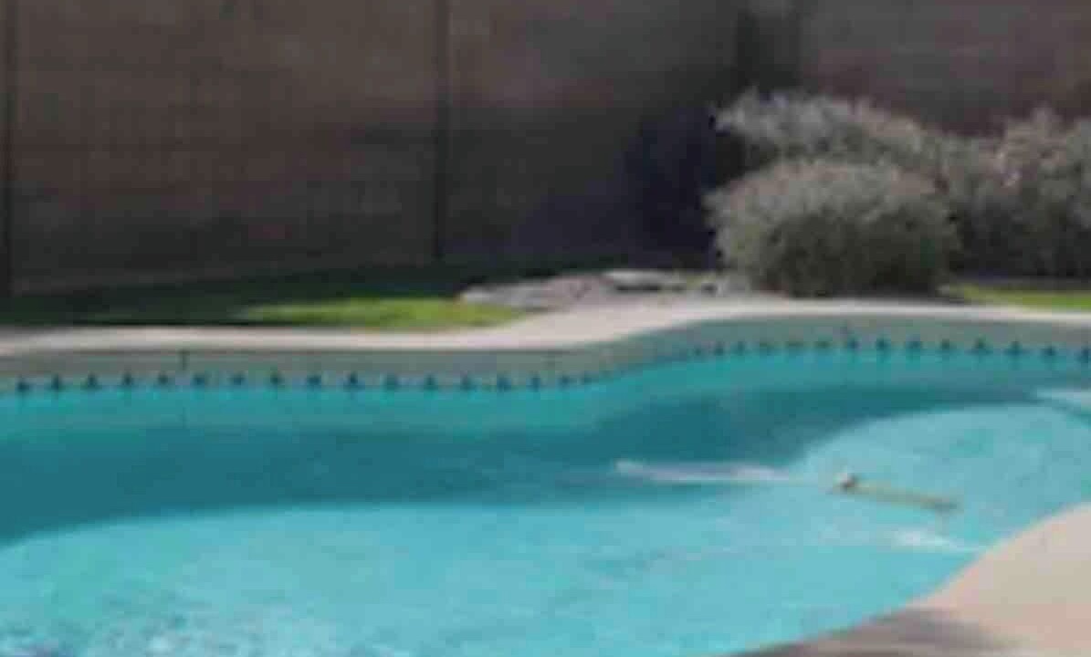 Photo of Outdoor in North Las Vegas