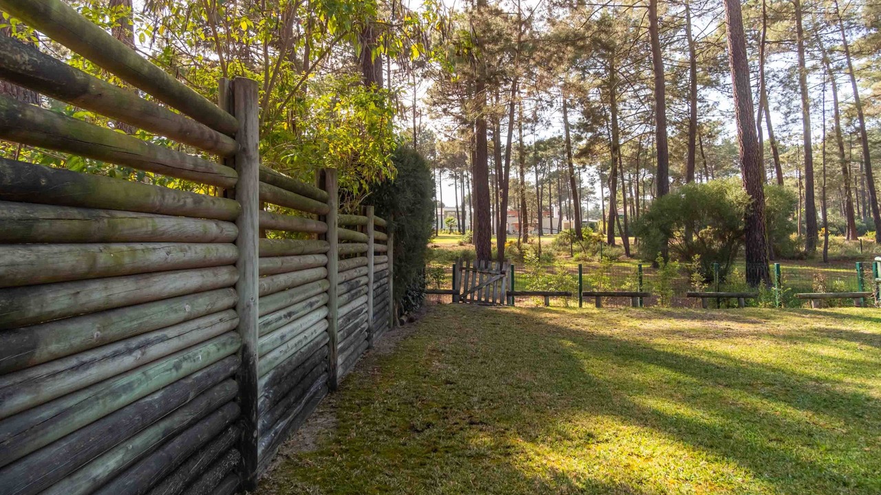 Photo of Outdoor in Charneca de Caparica e Sobreda