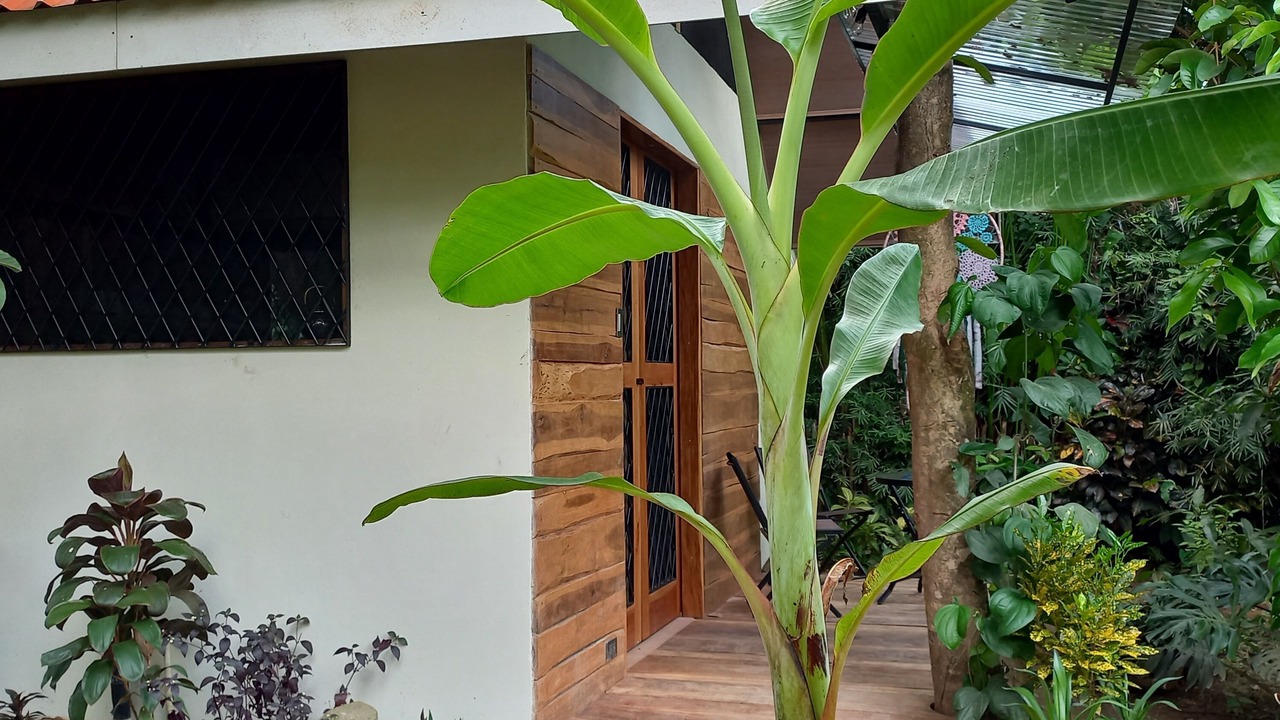 Photo of Outdoor in Uvita