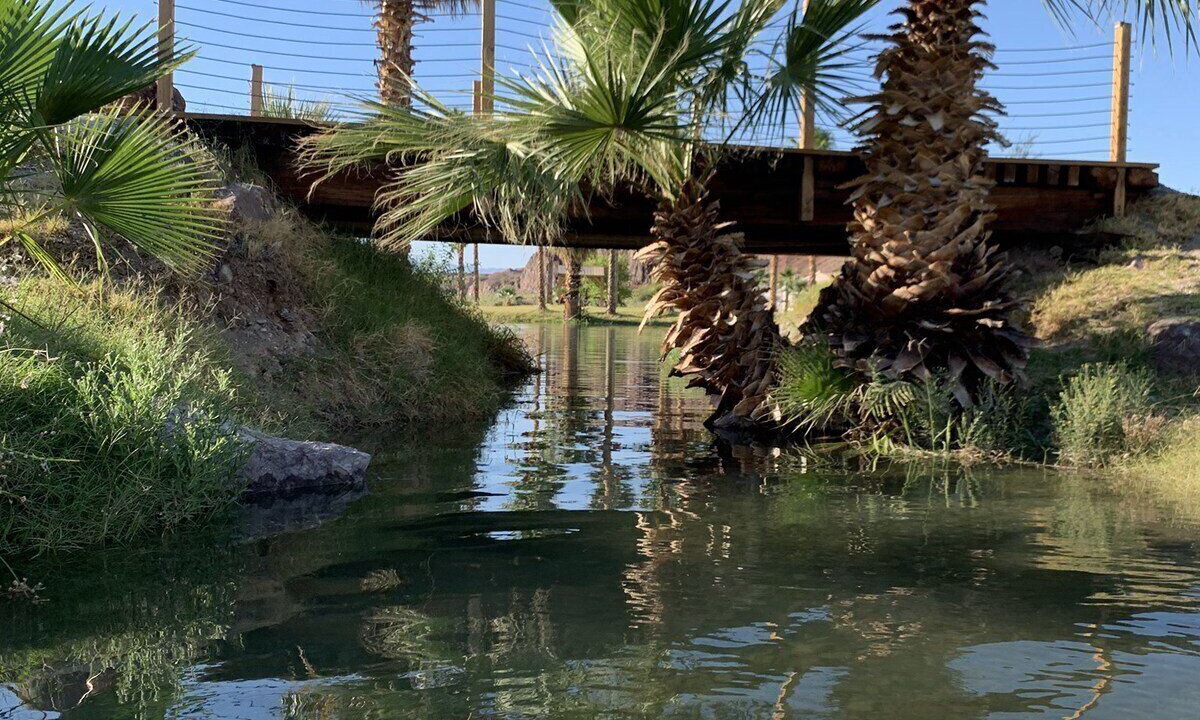 Photo of Others in Parker Strip