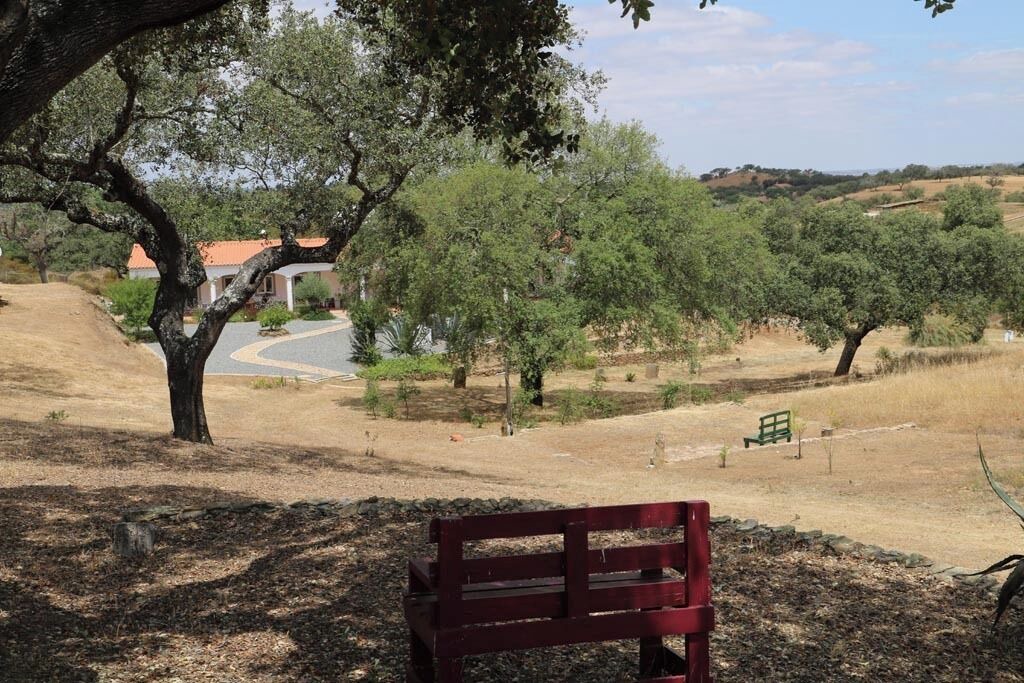 Photo of Outdoor in Aldeia dos Palheiros