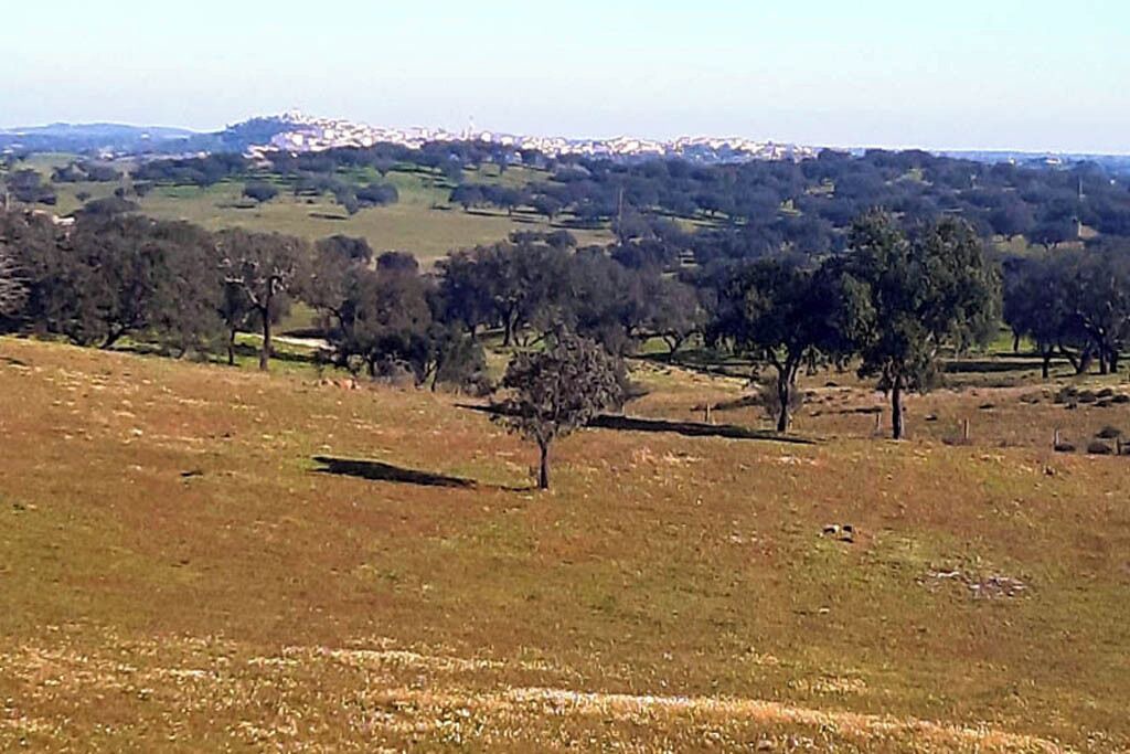 Photo of Others in Aldeia dos Palheiros