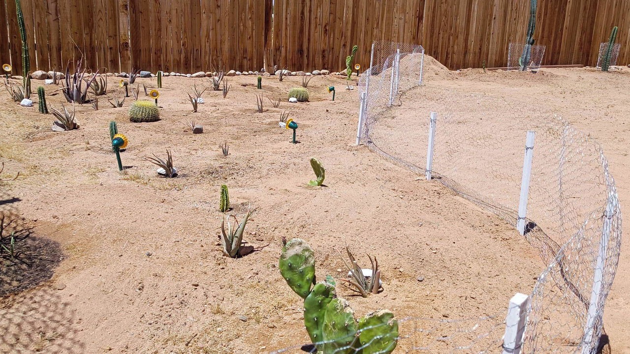 Photo of Others in Joshua Tree