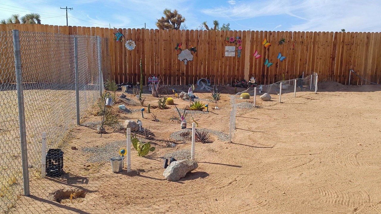 Photo of Others in Joshua Tree