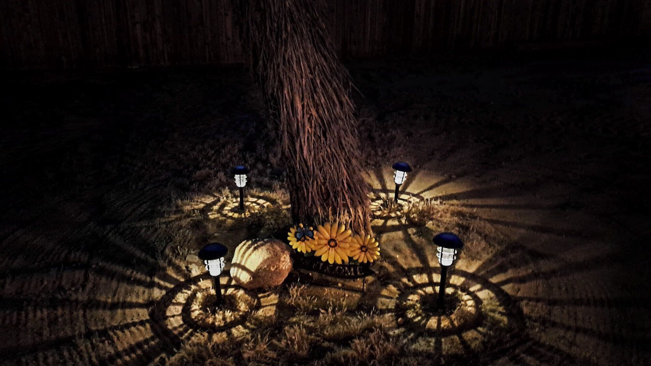 Photo of Outdoor in Joshua Tree