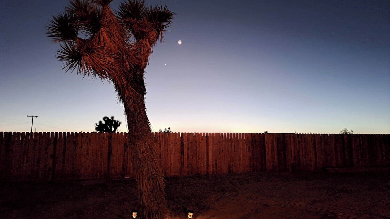 Photo of Others in Joshua Tree