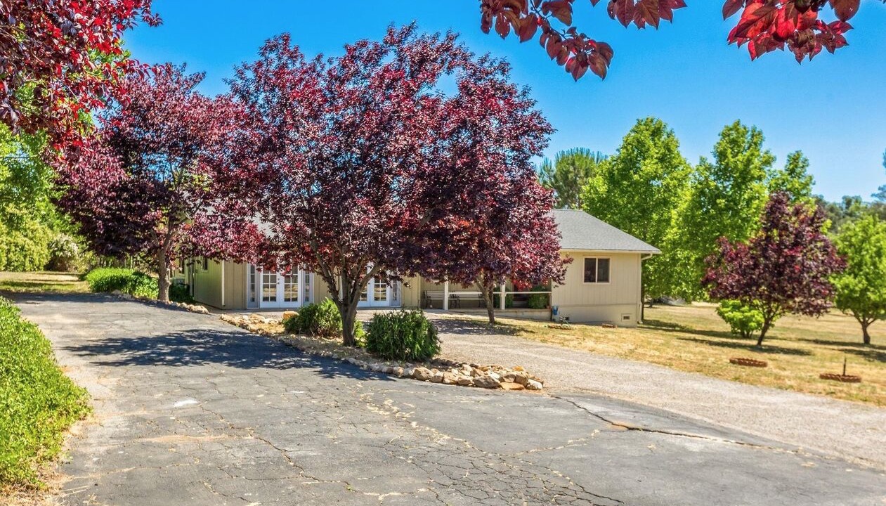 Photo of Outdoor in Julian