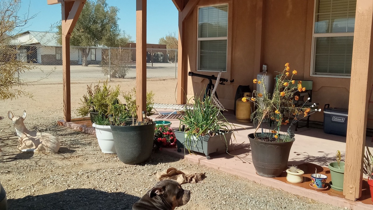 Photo of Outdoor in Quartzsite