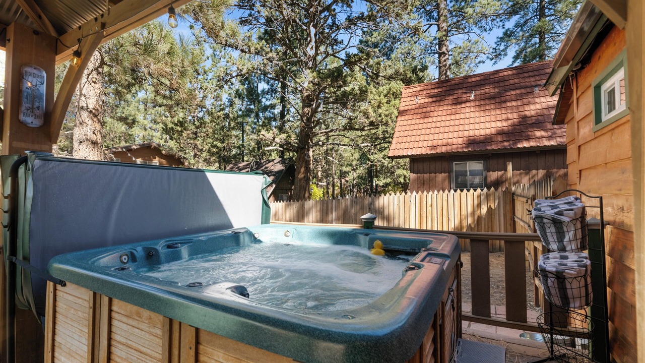 Photo of Outdoor in Big Bear City