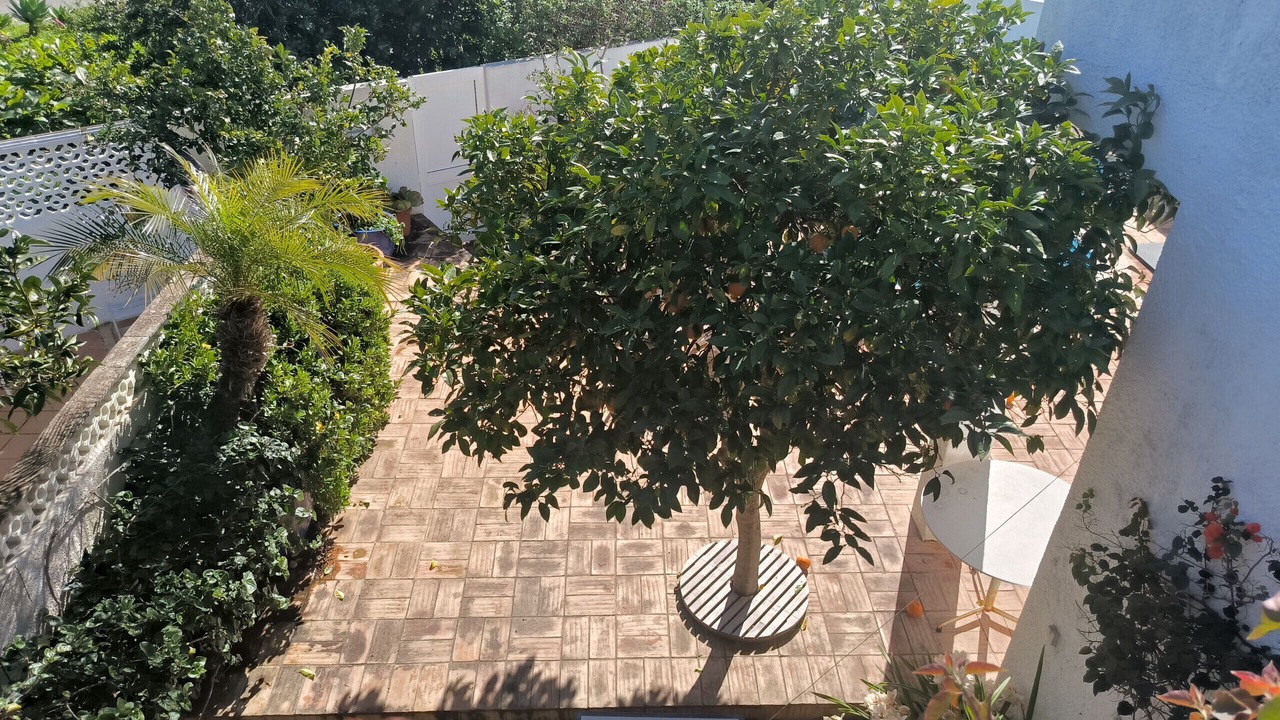 Photo of Outdoor in Praia da Luz