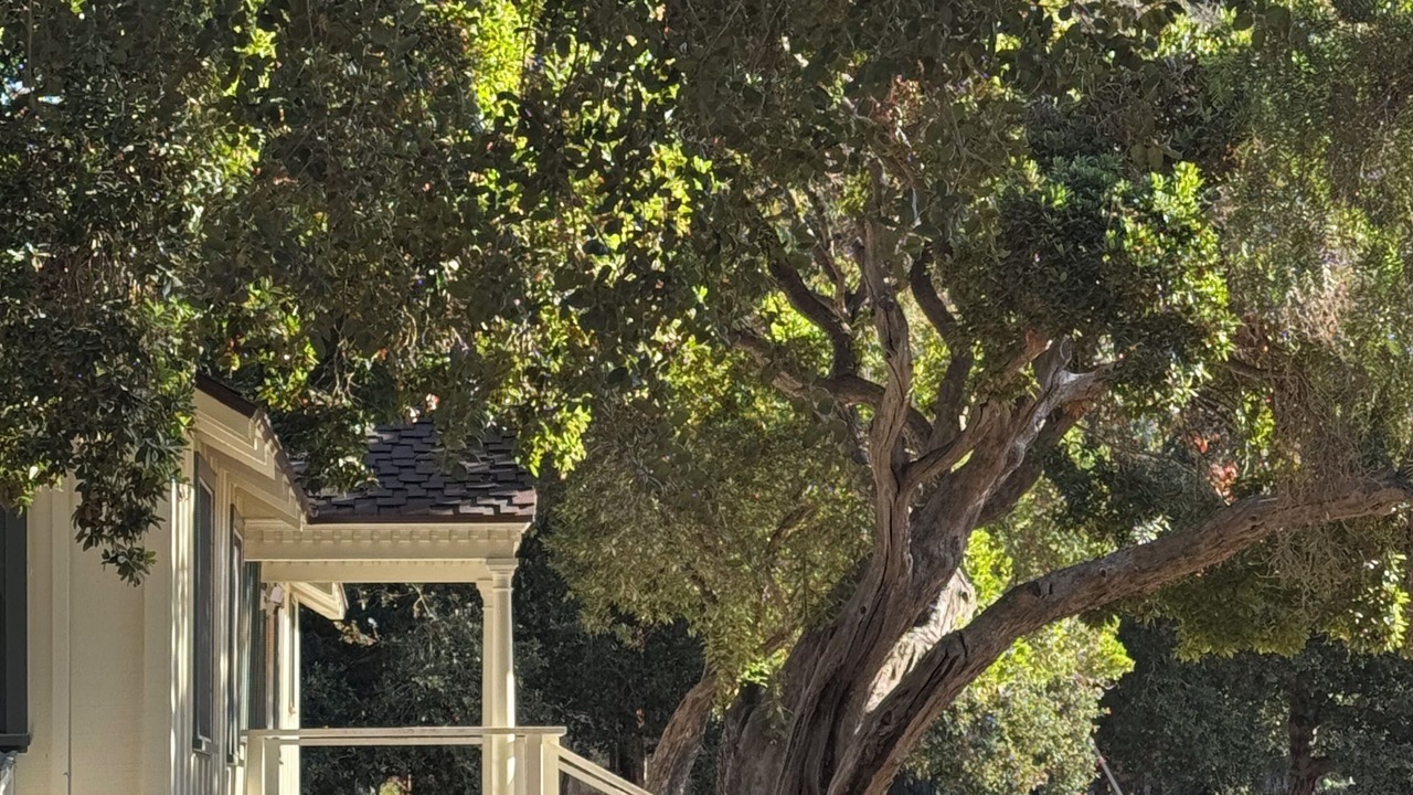 Photo of Outdoor in Santa Ynez