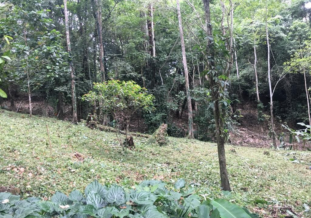 Photo of Outdoor in Cocles