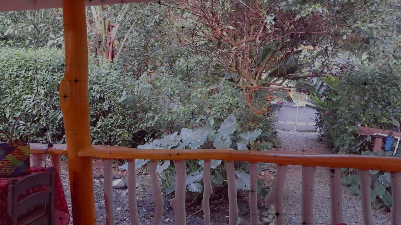 Photo of Outdoor in Cocles