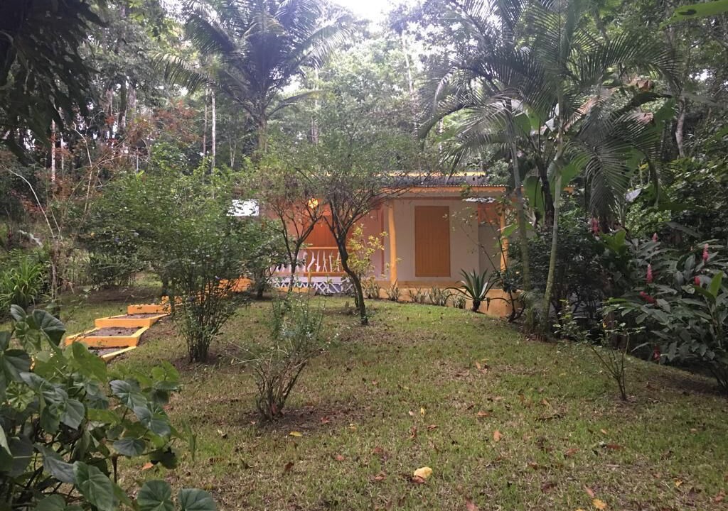 Photo of Outdoor in Cocles
