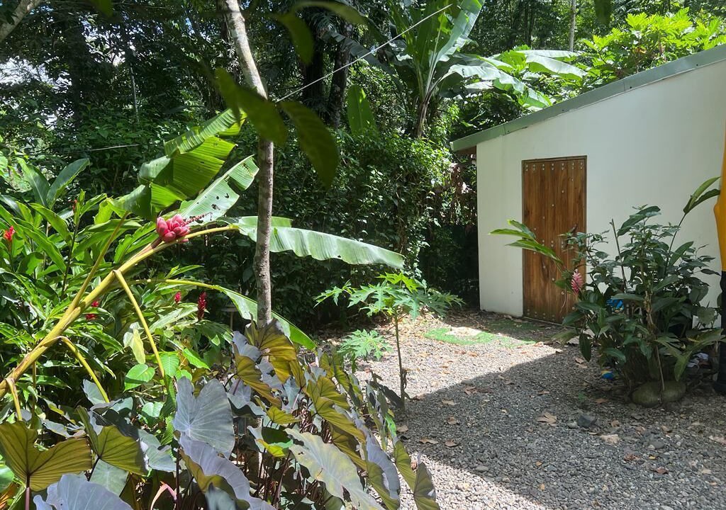 Photo of Outdoor in Cocles