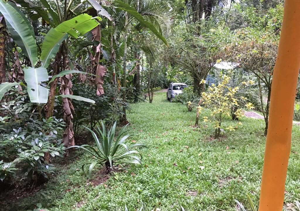 Photo of Outdoor in Cocles