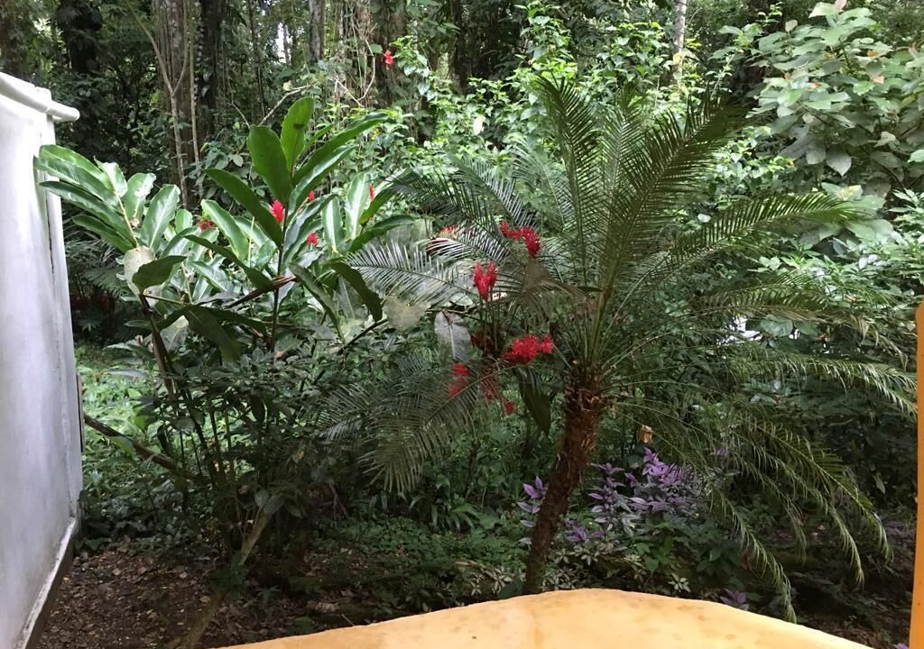 Photo of Outdoor in Cocles