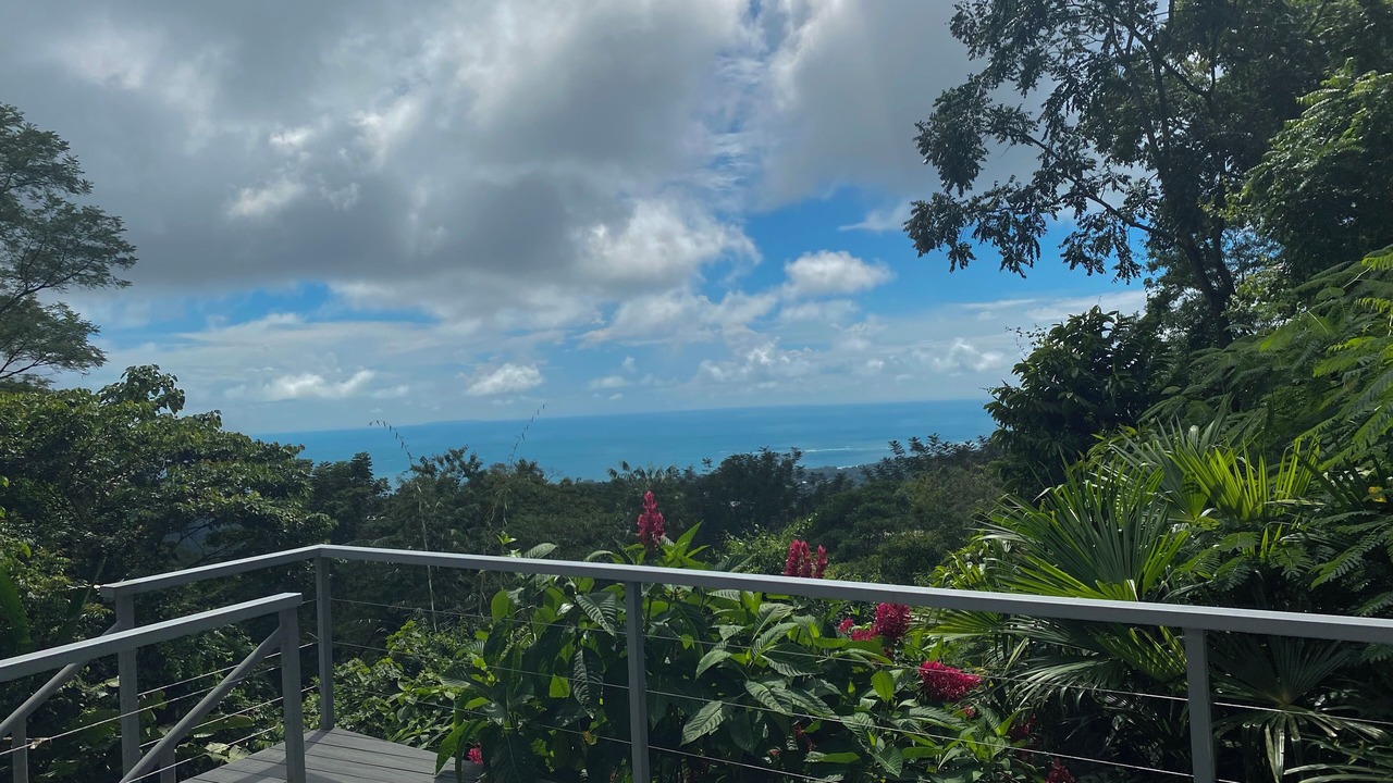 Photo of Others in Uvita