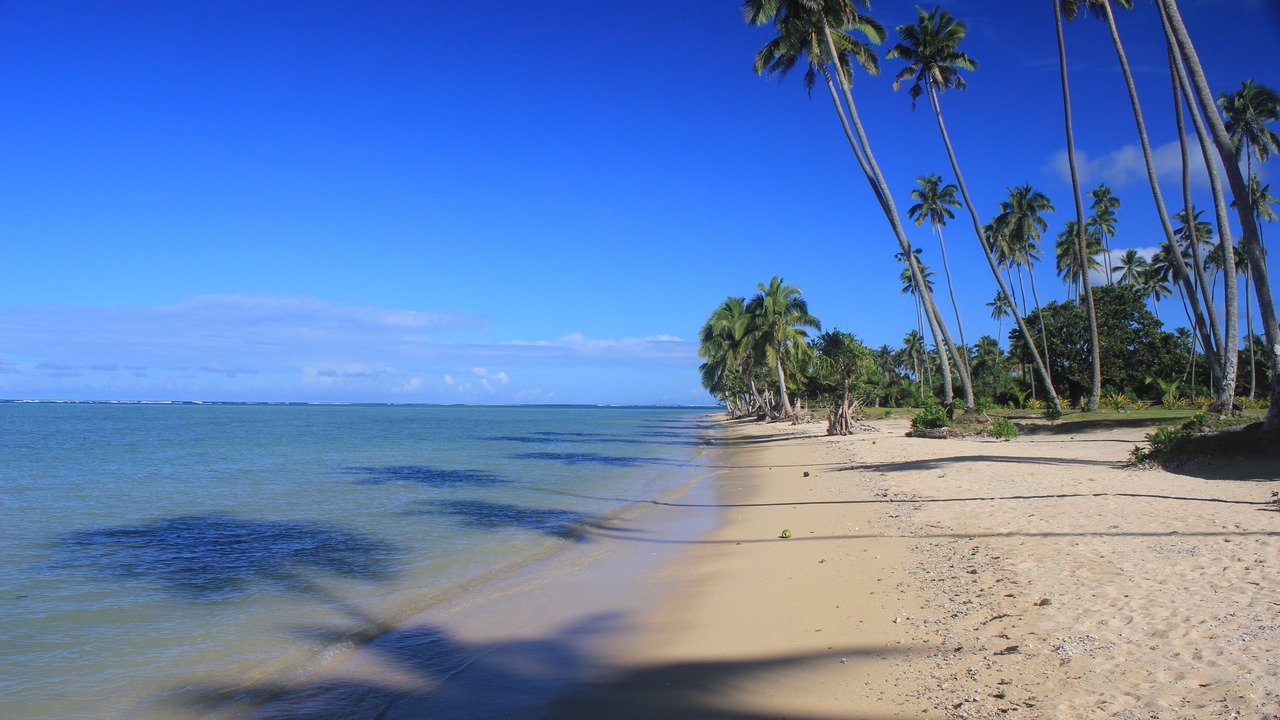 Photo of Others in Savusavu