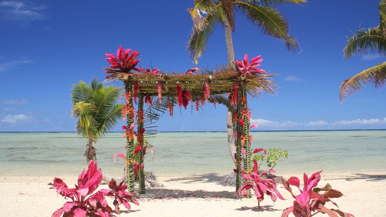 Photo of Others in Savusavu