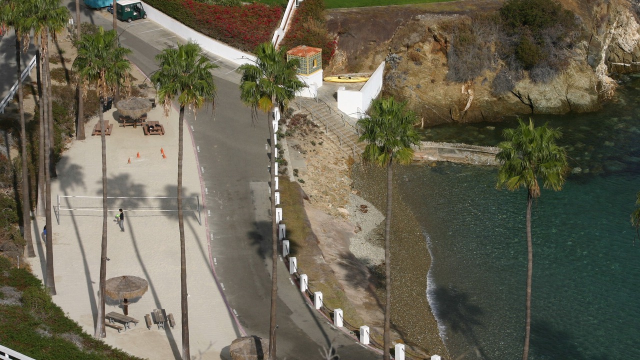 Photo of Others in Avalon