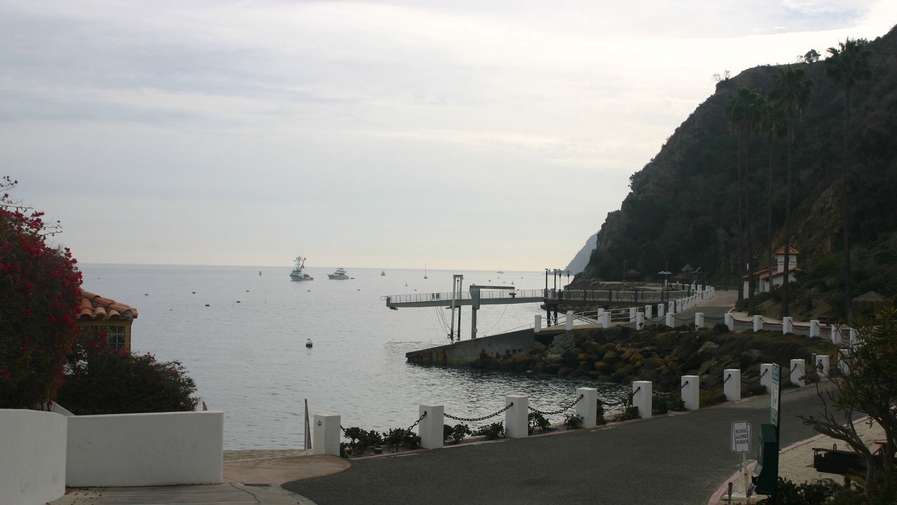 Photo of Others in Avalon