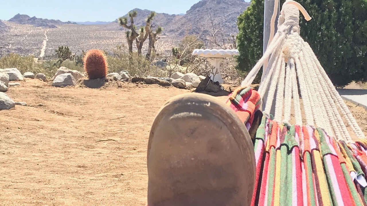 Photo of Others in Joshua Tree