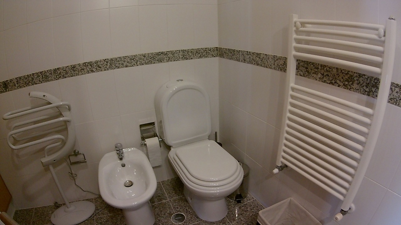 Photo of Bathroom in Nazare