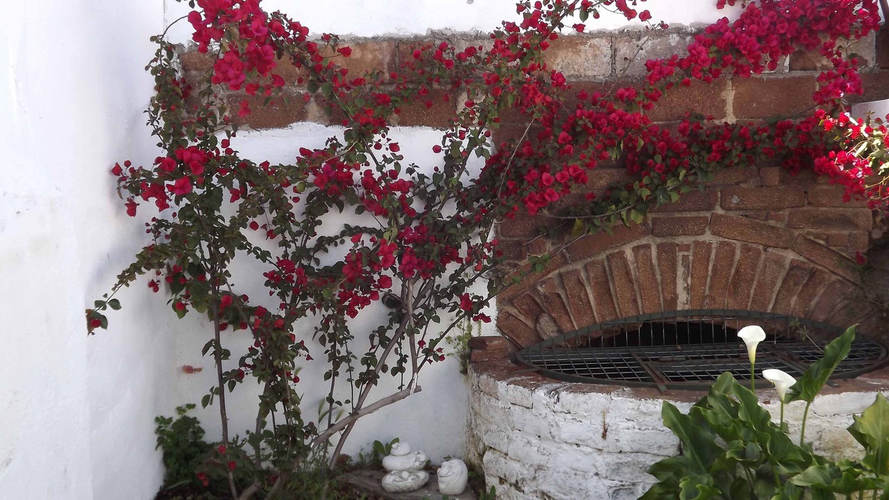 Photo of Outdoor in Reguengos de Monsaraz